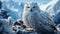 Majestic snowy owl perching on snowy branch, looking at camera generated by AI