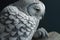 Majestic Snowy Owl Picture set. taking flight, prey in the snow, spreading its wings and more.