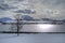 Majestic snowy winter landscape with lonely tree, snowy pasture, mighty mountains and blue fjord