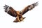 Majestic Soar: Eagle on Transparent Background.