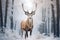 Majestic solitude Deer in a winter forests snow covered field