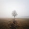 Majestic Solitude - A Lone Tree in a Vast Field