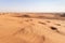 The majestic splendor of the vast sandy desert near Dubai city, United Arab Emirates