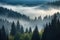 majestic spruce forest with rolling fog and mist on the horizon