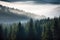 majestic spruce forest with rolling fog and mist on the horizon