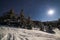 The majestic starry sky over the winter mountain landscape. Night scene. Wonderful tall fir trees with moonlight