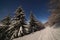 The majestic starry sky over the winter mountain landscape. Night scene. Wonderful tall fir trees with moonlight