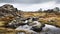 Majestic Stone River A Traditional British Landscape With Wetlands And Boulders