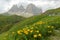 Majestic summer scenery of Pass Sella with wild flowers on green grassy meadows