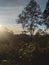 Majestic Sunrise near Mount Bromo