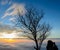 Majestic sunrise with sea of fog