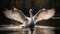 A majestic swan with its wings spread gliding across the water gracefully created with Generative AI