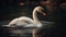 Majestic swan reflects natural beauty in tranquil pond generated by AI