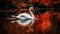 Majestic swan swimming in tranquil pond water generated by AI