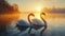 Majestic Swans Gliding Over Serene Sunrise Lake