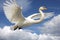 Majestic Swans Soar Over Tranquil Lake with Stunning Blue Sky and Peaceful Atmosphere