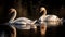 Majestic swans in tranquil pond reflect natural beauty generated by AI