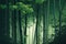 majestic tall trees with fresh green leaves and slender bamboo stalks