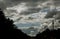 Majestic thunderstorm clouds above a grove of trees with road in dramatic stormy clouds