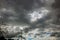 Majestic thunderstorm clouds above a grove of trees with road in dramatic stormy clouds