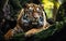 Majestic tiger sitting peacefully in the forest, majestic big cats image