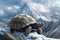 Majestic Tortoise on a Snowy Mountain Peak with Dramatic Sky Background Wildlife and Nature Digital Art