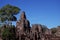 The majestic towers of Bayon Temple, in Cambodia. Tall tropical trees. Beautiful landscape