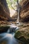 Majestic Tree Clinging to Rock Face with Cascading Waterfall