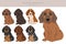 Majestic tree hound puppy clipart. All coat colors se