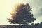 majestic tree stands out in the sky in a surreal landscape