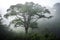 majestic tree, surrounded by fog and mist, towering above the forest canopy