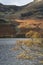 Majestic vibrant Autumn Fall landscape Buttermere in Lake District with beautiful early morning sunlight playing across the hills