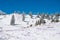 Majestic view of blooming spring crocuses poking from late snow in mountains.