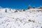 Majestic view of blooming spring crocuses poking from late snow in mountains.