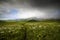 Majestic view of Dzukou Valley, Nagaland, North East India.