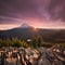 Majestic View of Mt. Hood on a bright, colorful sunset during the summer months in Mount Hood National Forest, Oregon