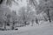 Majestic view of snowy trees and toboggan slide in winter park, Bankya