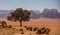 Majestic Wadi Rum, aka Valley of the Moon, a protected nature reserve with dramatic sandstone mountains and granite rock