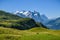 Majestic Wetterhorn peak covered by eternal ice in canton of Bern