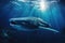 A majestic whale gracefully glides through the ocean surrounded by a multitude of fish, Whale shark is a big fish in the sea, AI