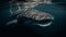 Majestic whale shark glides through tropical sea generated by AI