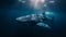 Majestic whale shark swims among underwater beauty generated by AI