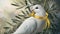 Majestic White Dove With Yellow Ribbon Among Olive Branches in Soft Light