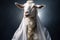 Majestic White Goat Adorned with Necklace dressed in white toga, on dark blue background. Goat angel. Religious animal