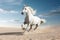 Majestic white horse gallops, capturing attention with its graceful presence