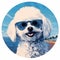 Majestic White Poodle: A Stunning Stencil Art Canvas With Realistic Seascapes And Vivid Portraiture