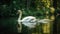 A majestic white swan gracefully gliding across a calm lake with lush green trees in the background created with Generative AI