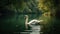 A majestic white swan gracefully gliding across a calm lake with lush green trees in the background created with Generative AI