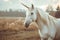 Majestic white unicorn in twilight pasture