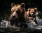 Majestic wild animals in the wilderness. Brown bears fishing in the river. Dark backdrop. Generative AI